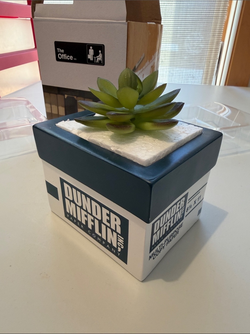 NEW Dunder Mifflin Paper Box Resin Planter with Faux Succulent - Black & Green